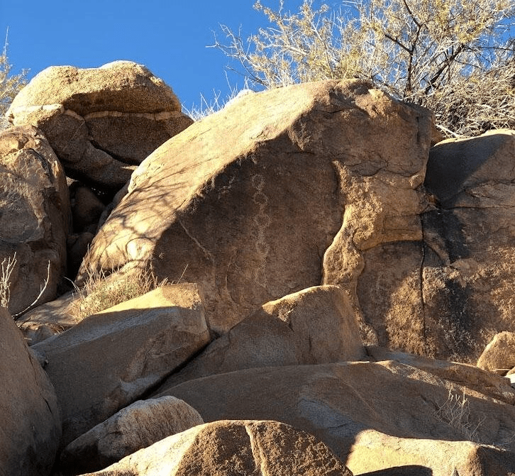 Large stones with desert plants